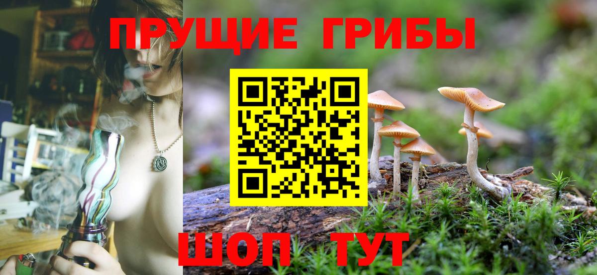 Галлюциногенные грибы прущие грибы  Вход с VPN  Нурлат 