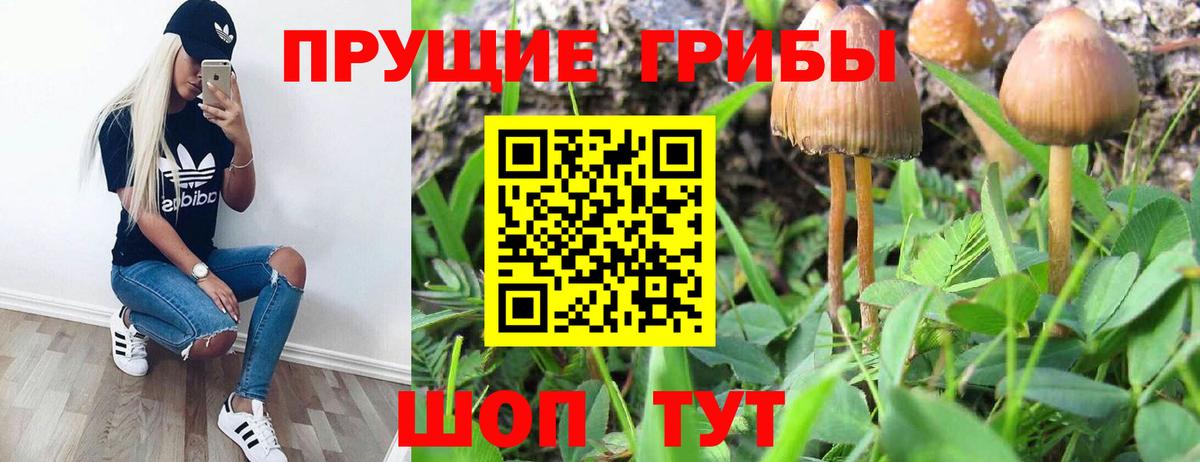 Псилоцибиновые грибы Magic Shrooms Нурлат